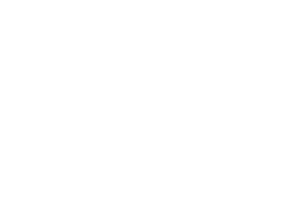 Logo bibelpraxis.de (weiße Variante)